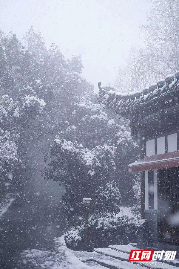 浪漫春雪落满山林 湖南最美雪景藏在这些景区里