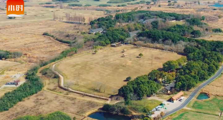 来良渚古城遗址钟家港,直击大型厨余垃圾考古现场