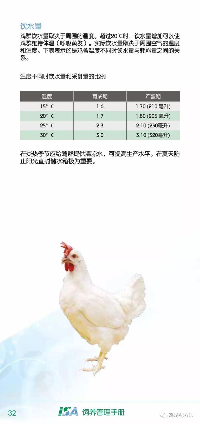 大午金凤饲养管理手册图片