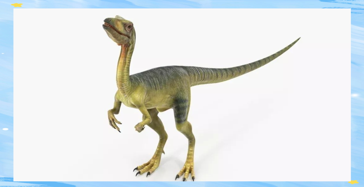 古生物学家在中国发现真实迅猛龙,与电影形象有所不同