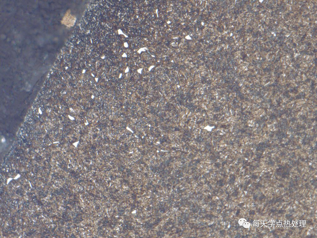 渗碳钢的金相组织形态