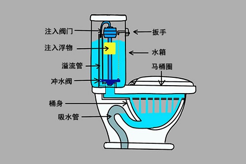 坐便器底部结构图片图片