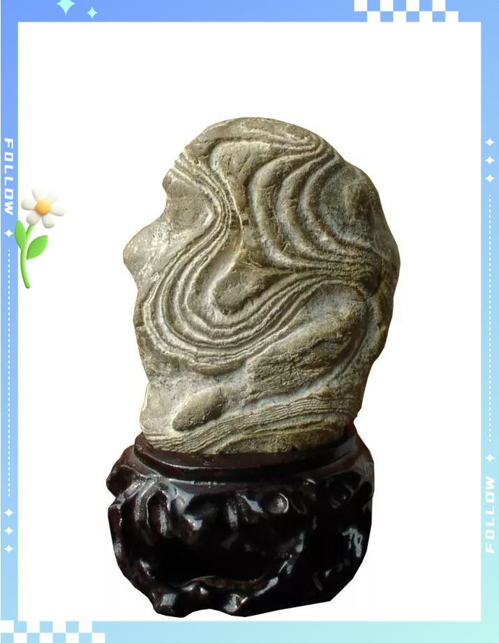 达州卷纹石:奇石界的新贵与隐秘瑰宝