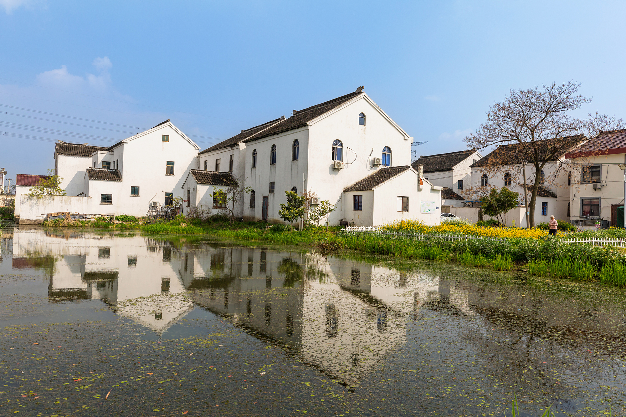 石桥村:旧村换新貌,村民露笑颜