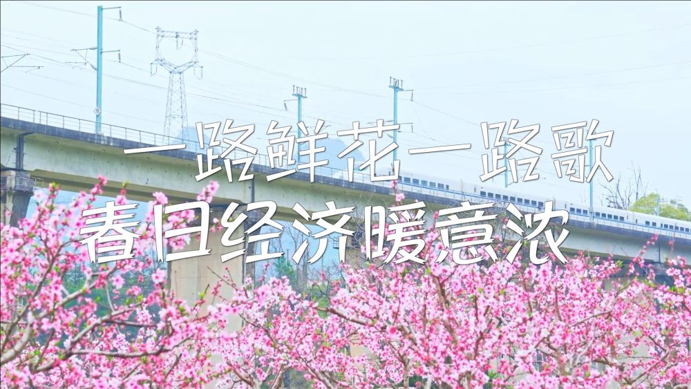 政策暖意浓 民企发力向“新”向“智”