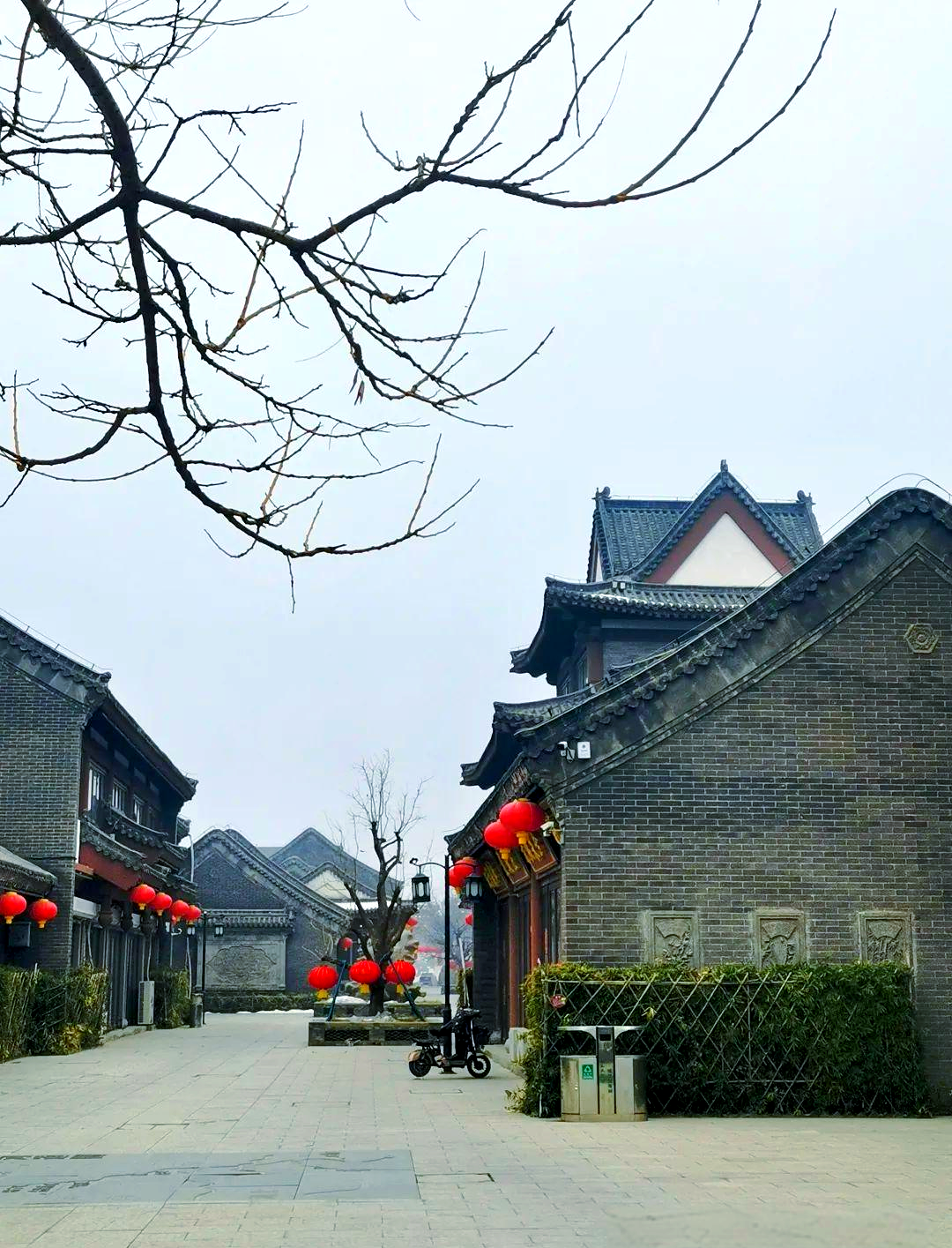 大运河的德州传奇:历史与自然交织的见证