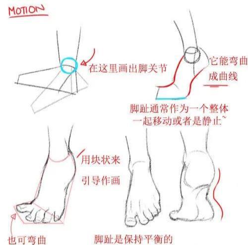「cg原画插画教程」多角度把控脚的画法