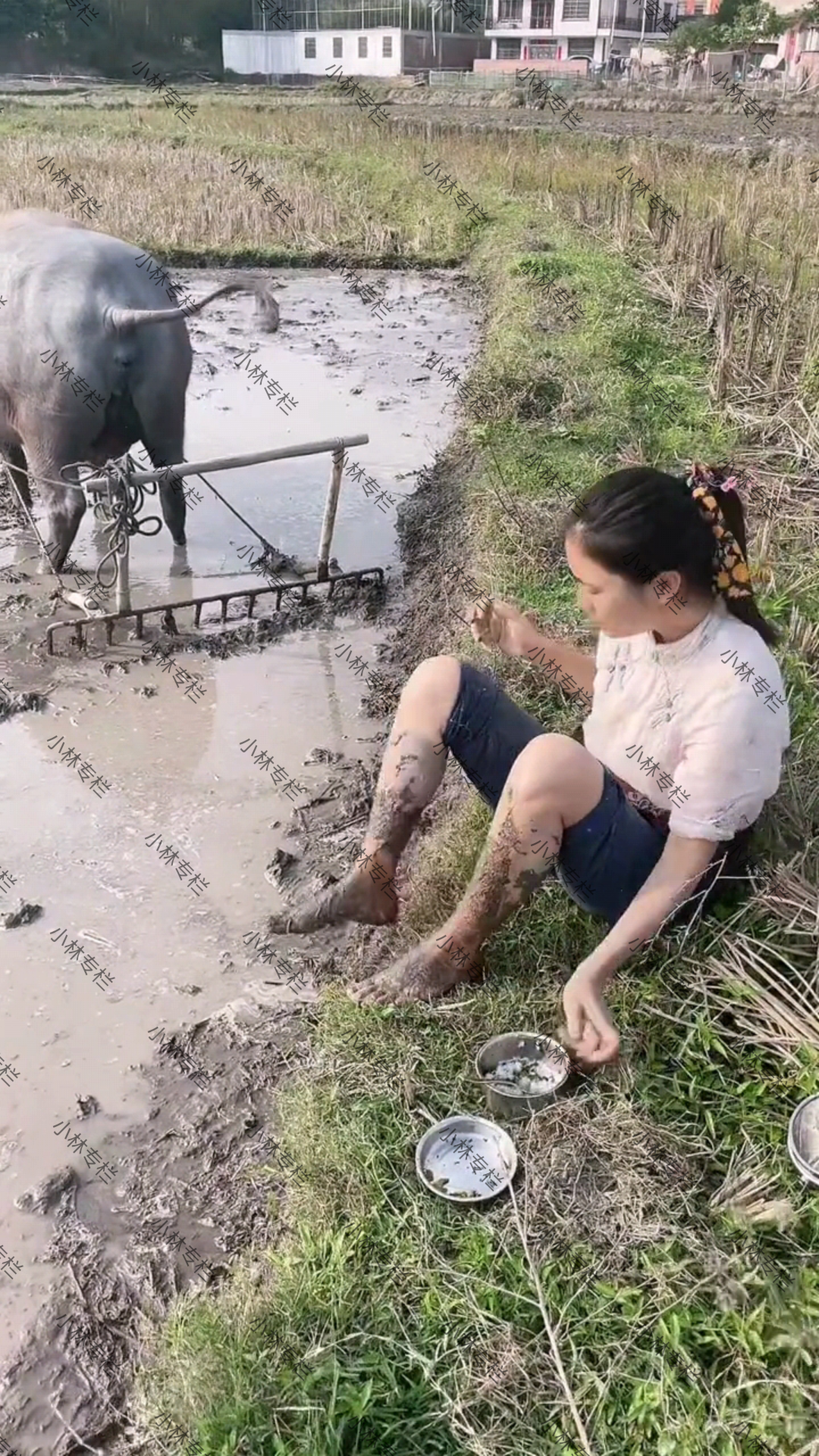 一女子在泥浆田里犁地,腿上沾满泥巴,网友:我不会让老婆做这些