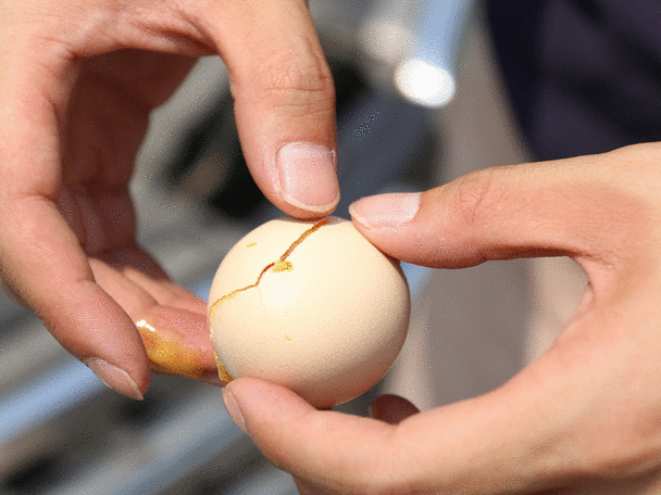 "激素鸡蛋"危害大,放手心看一看,一眼就能识别激素鸡蛋