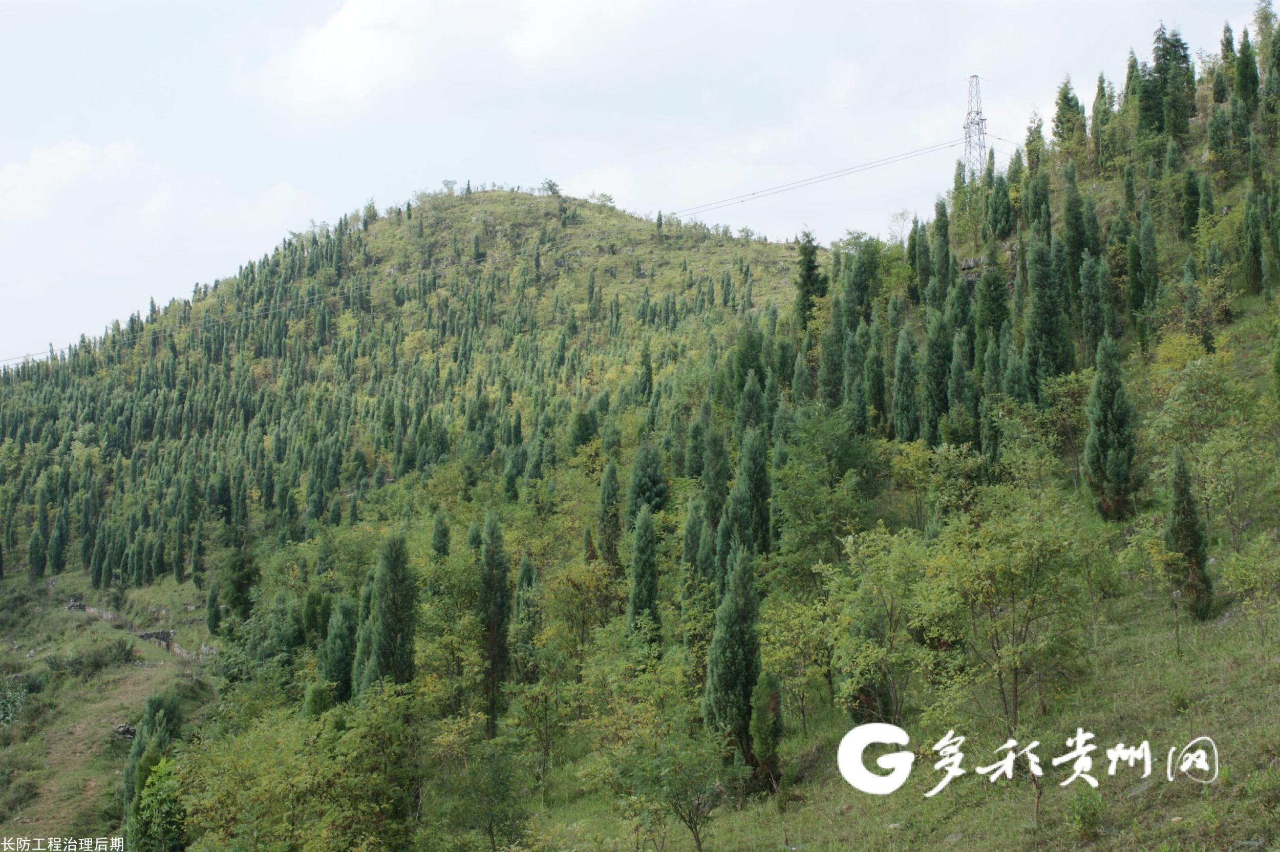 「绿色发展 贵州实践」一组图片 晒晒普定石漠化治理"成绩单"