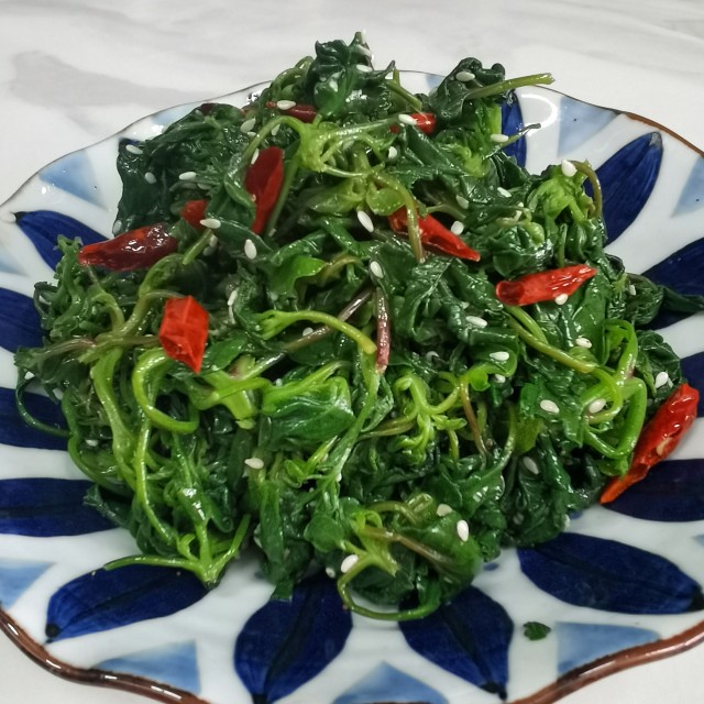 凉拌灰灰菜的做法步骤『凉拌灰灰菜怎么做好吃窍门』