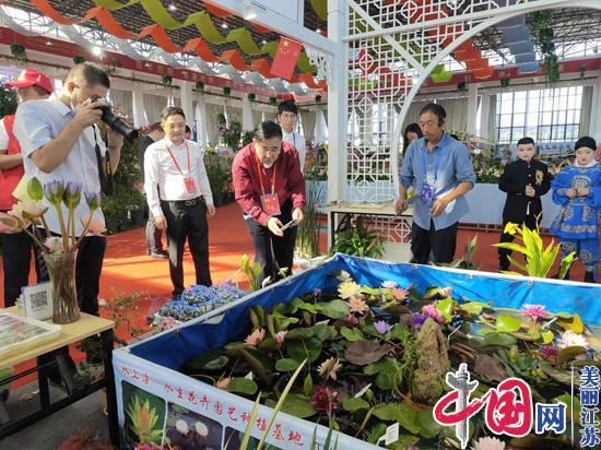 苏北花木批发市场图片