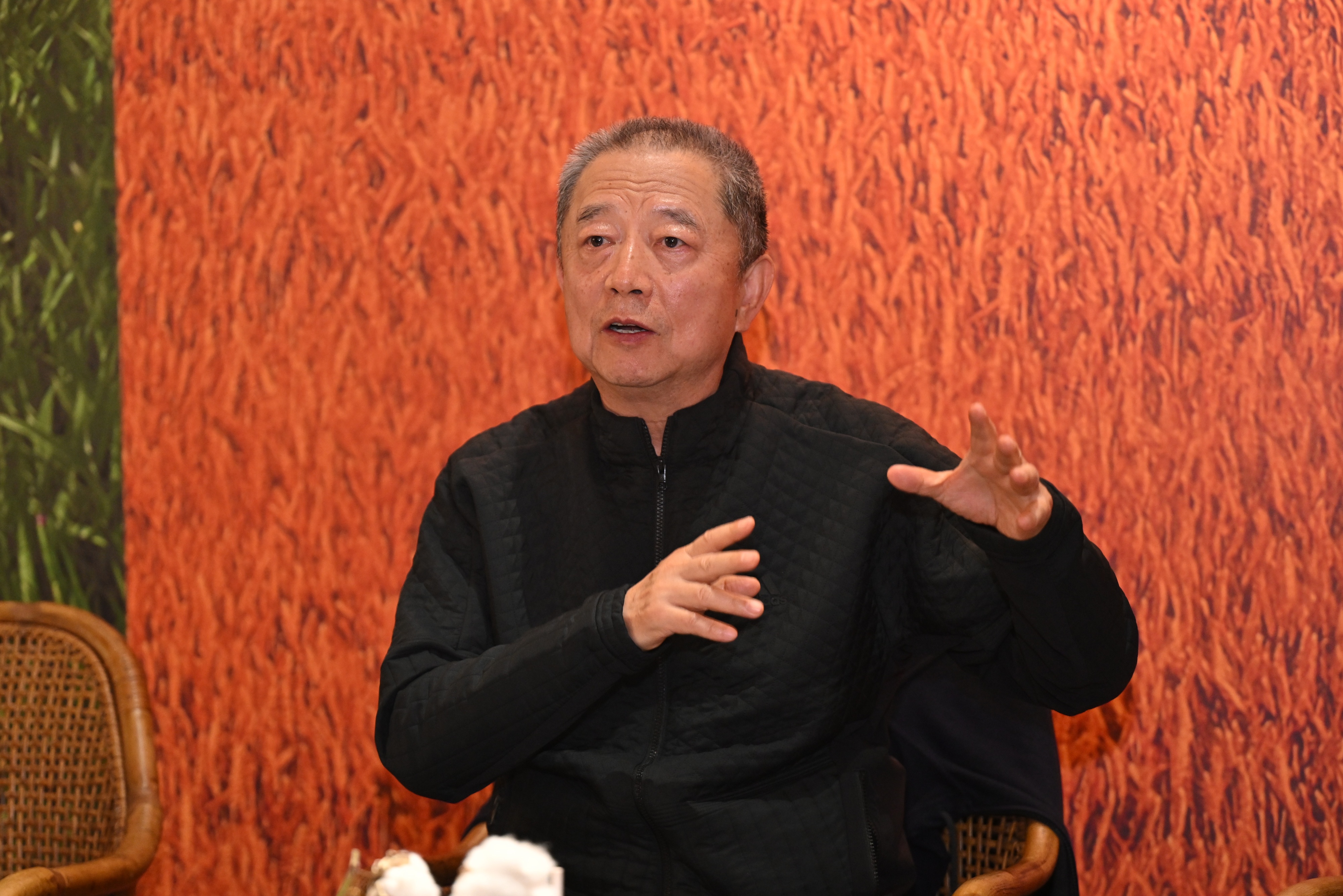 专访胡葆森:下一个16年,建业依旧扎根河南