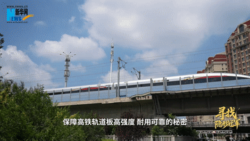 尋找隱形冠軍丨Vlog：鋼筋“肋”骨長啥樣？-有駕