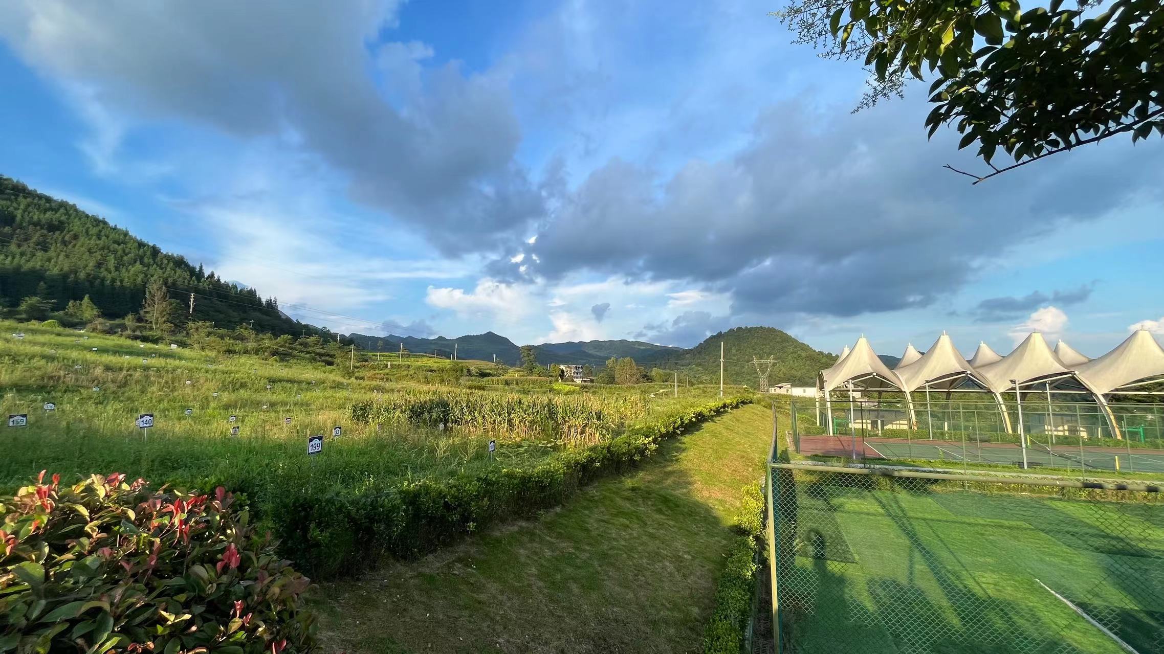 贵州桐梓九坝避暑房,兴茂度假区电梯洋房,海拔1300米景区配套!
