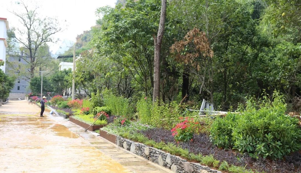 村庄绿化的相关技术