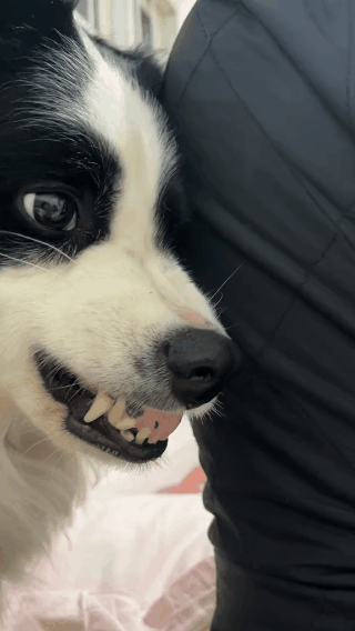 320_568竖版 竖屏gif 动态图 动图