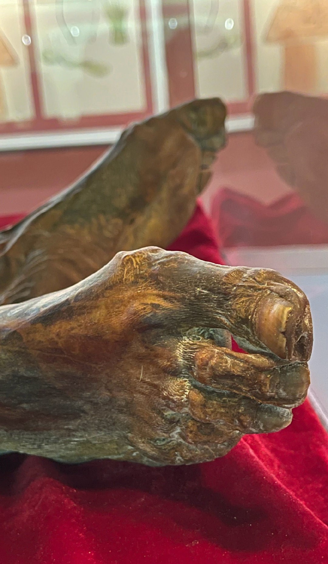 唐朝边防军干尸,皮肤还有弹性,头部多处伤痕,生前经历令人心疼