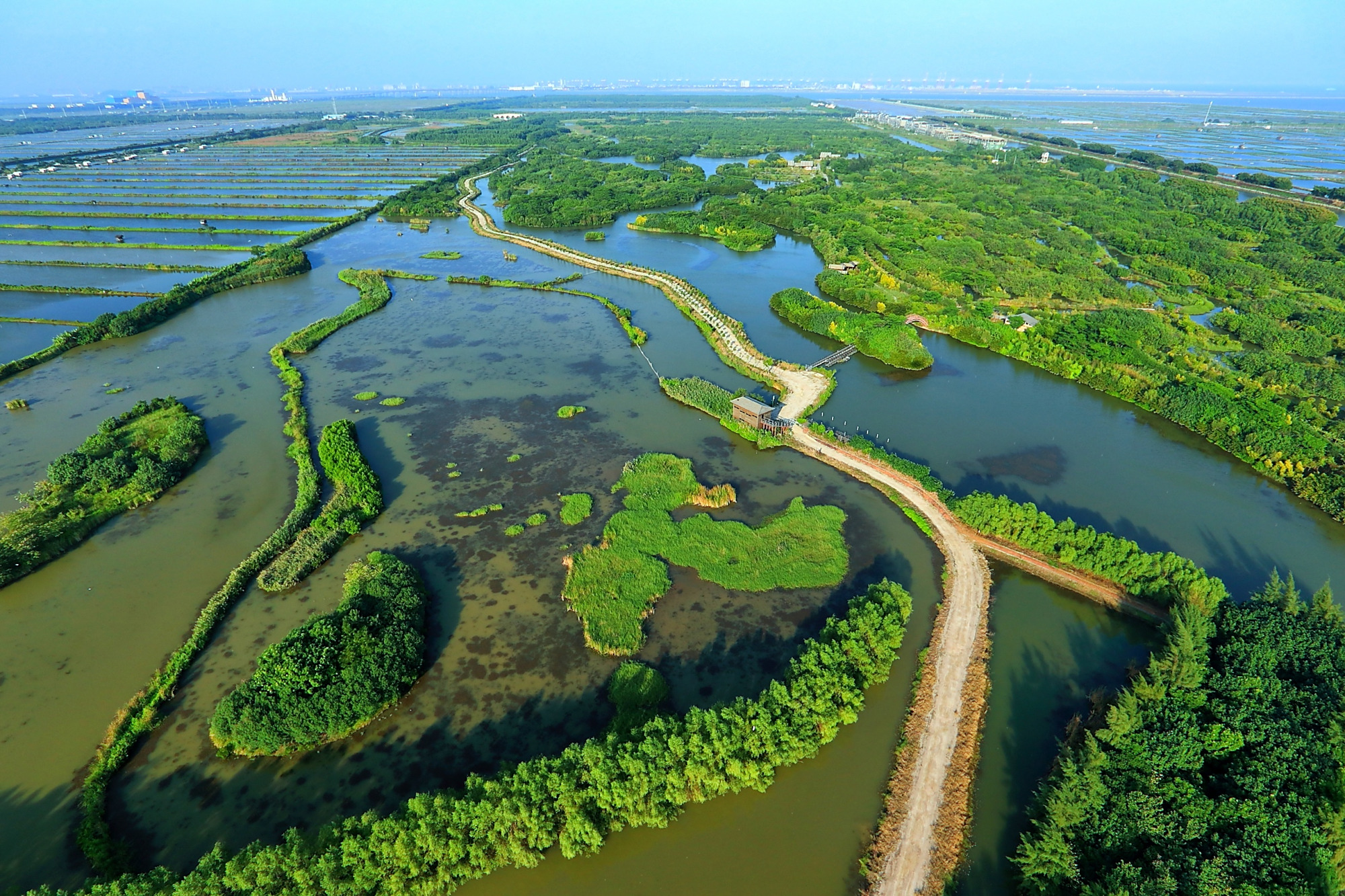 广州南沙湿地和天后宫医护人员免费玩