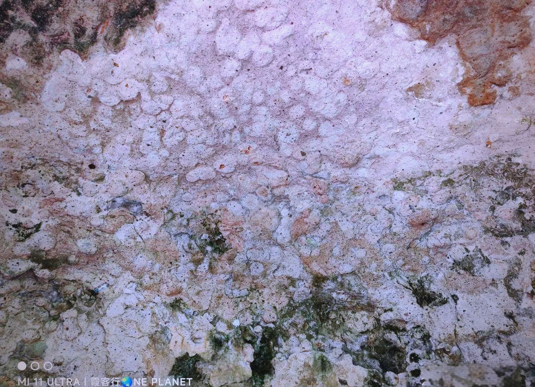 探秘新昌石城:凝灰岩的故事与多样地貌