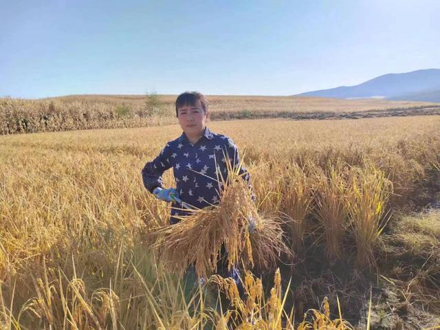 村民健康的守护人——蛟河市漂河镇半拉撮落村乡村医生崔亚兰小记