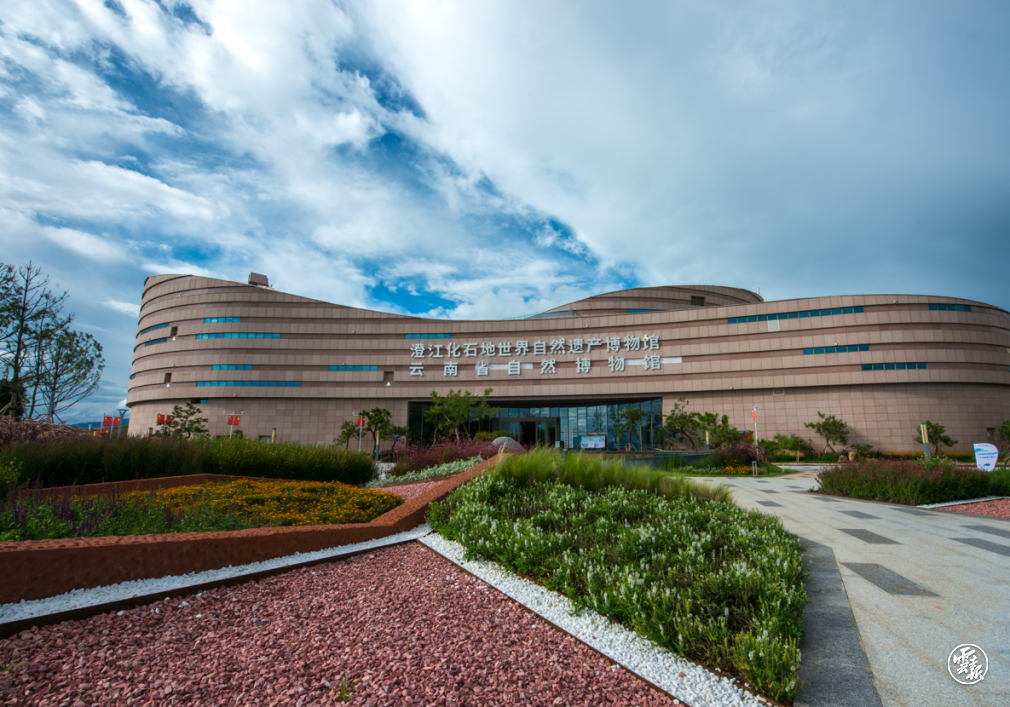 出发吧!坐着中老铁路去旅行