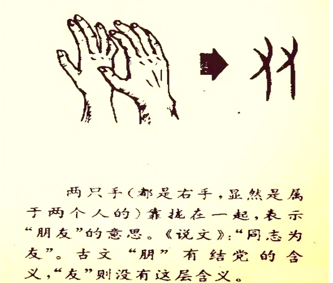 在甲骨文中,"友"字描绘的是一只右手与右手中掌纹并排的形状,象征着