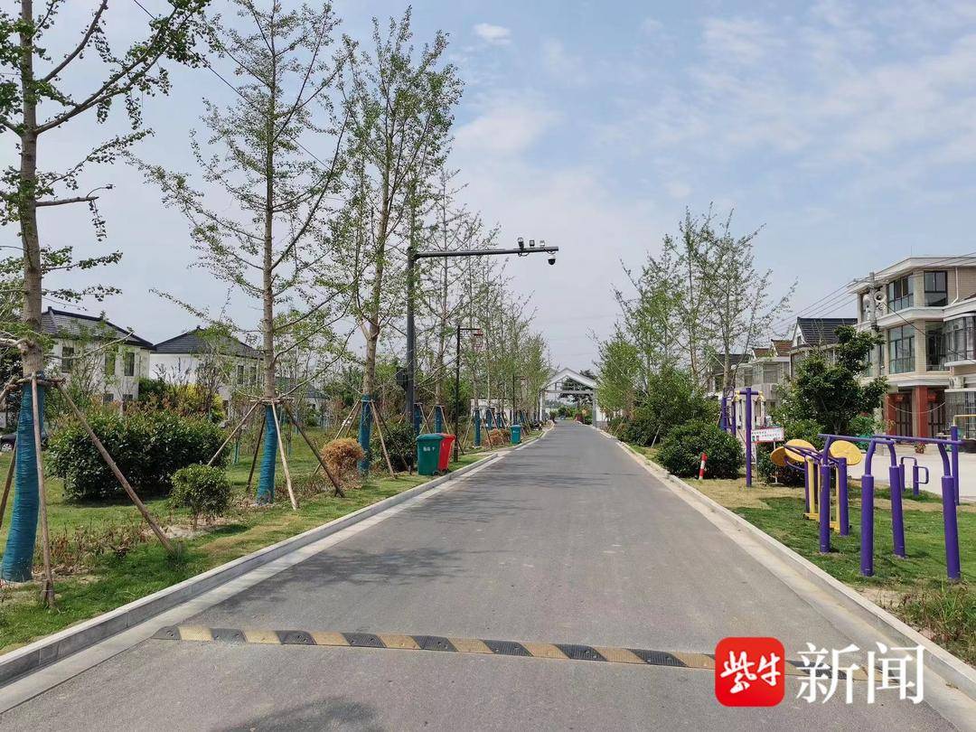 盐城市亭湖区新兴镇:人大代表助推农村人居环境整治