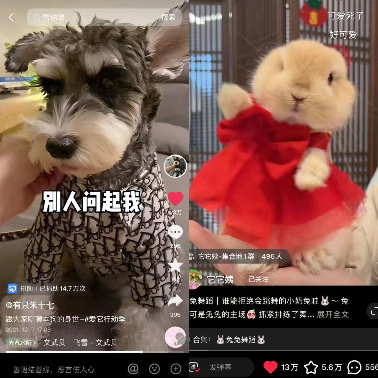 奇迹山在成都 宝藏mcn擦亮网红城市名片