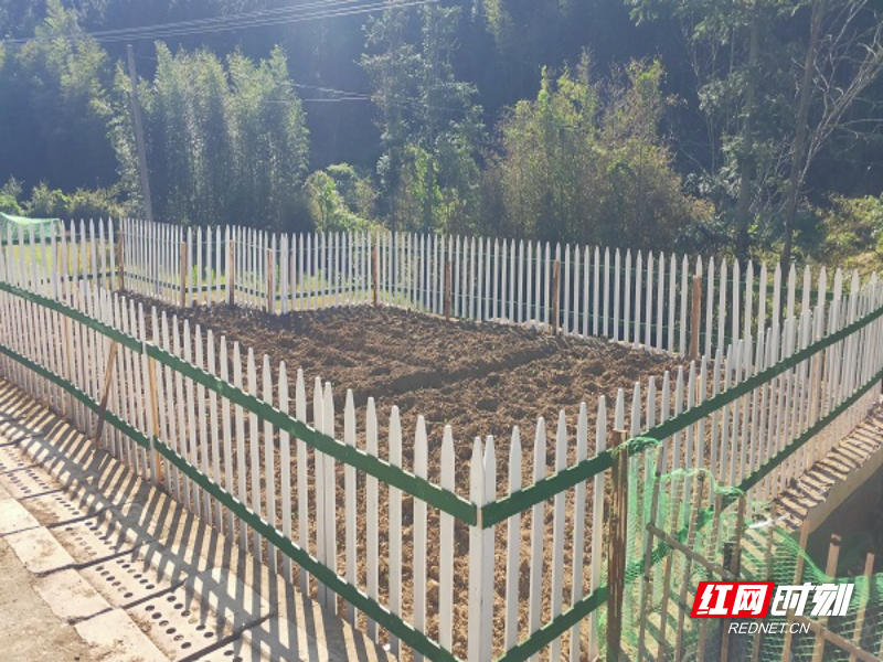 桂东新坊乡:推进"四小园"建设,开启乡村风貌"美颜"模式