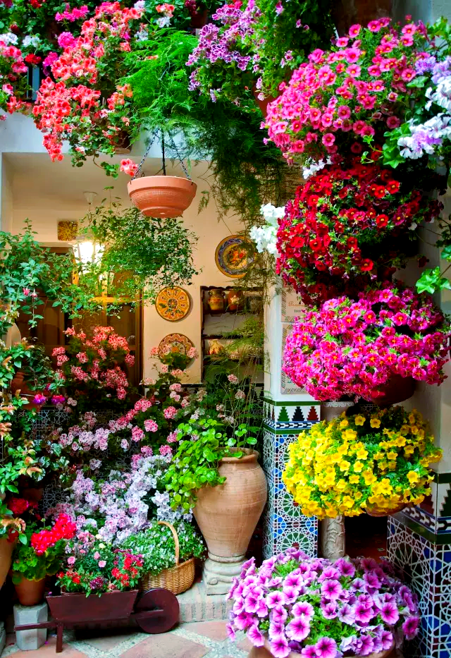 打造一个花园小院,追寻田园生活的宁静与美好