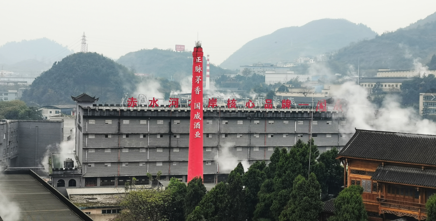 海南椰岛:初心励耘七十载 薪火承继化新光