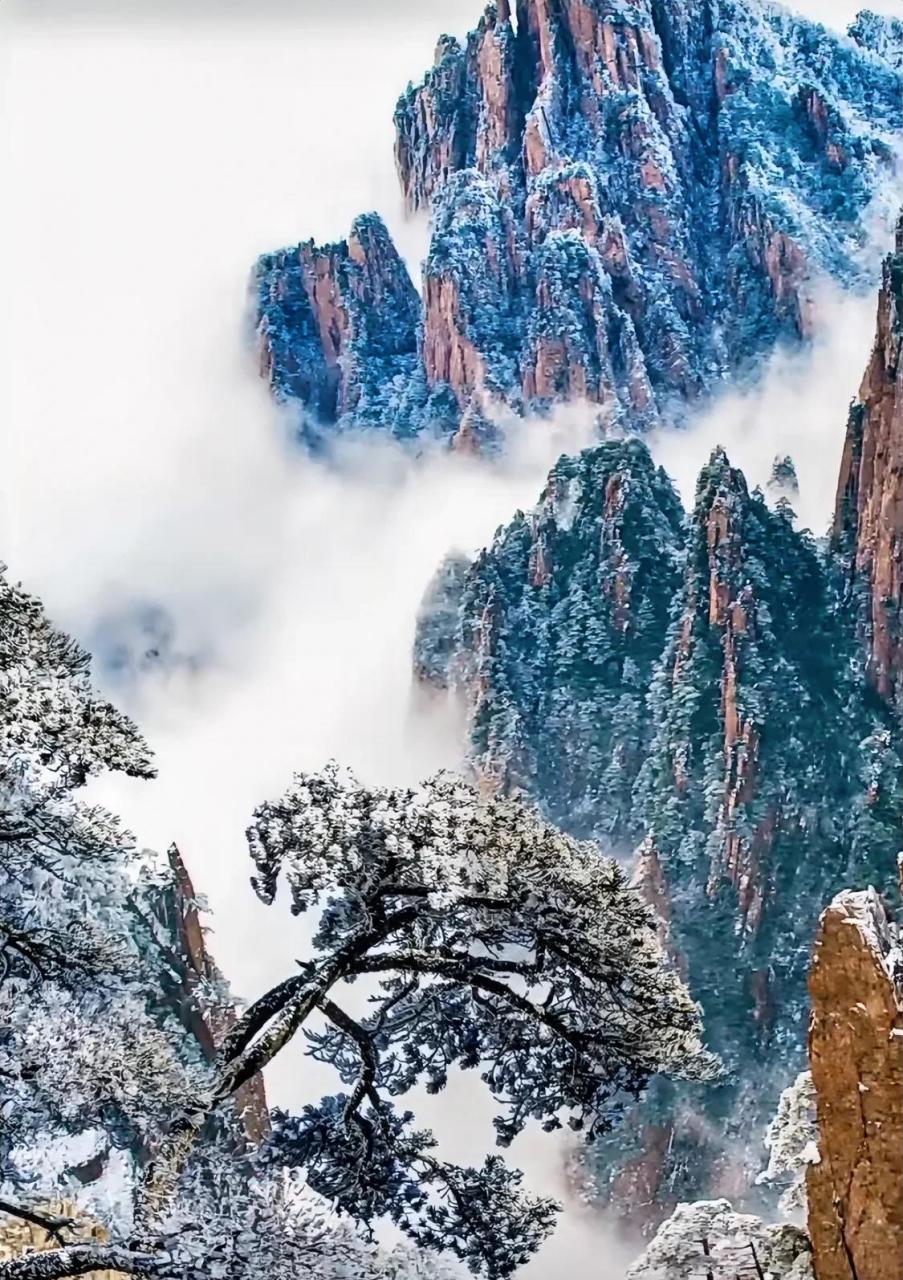 人生在世;  断无义之友, 放无心之手,  闭是非之口, 戒色花之酒.