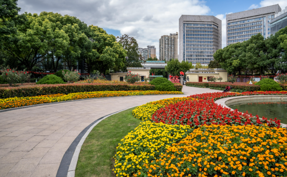中山北一路880号的模纹花坛,用颜色绚丽的一串红,孔雀草等,搭配出红