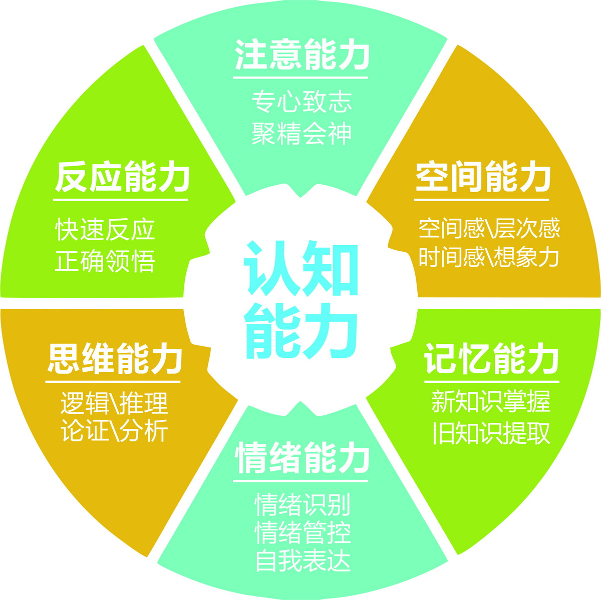 学习能力到底是什么?