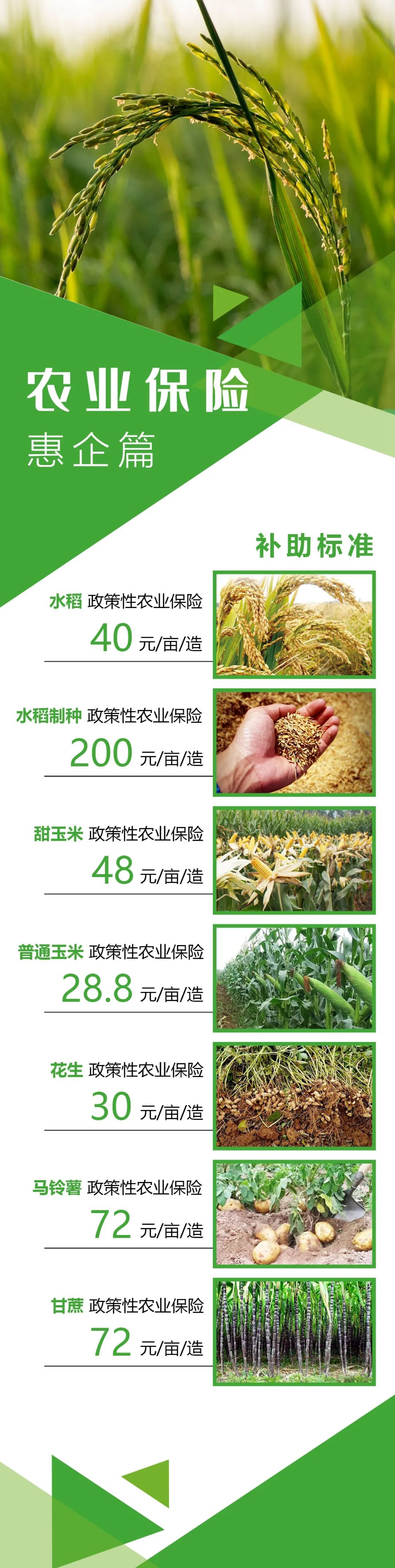 惠州农业企业 这些种植业政策性农业保险这样承保理赔