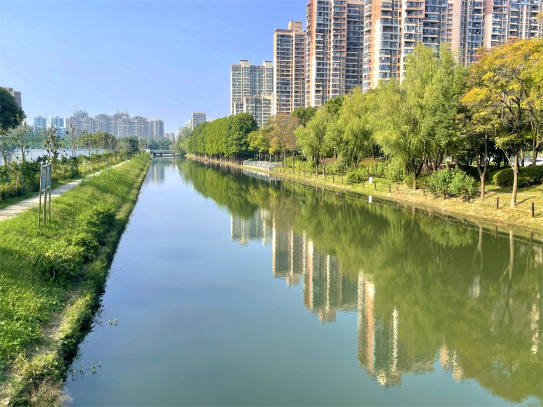 嘉定:碧波荡漾照岸景,河畔清风舒心灵——安泾