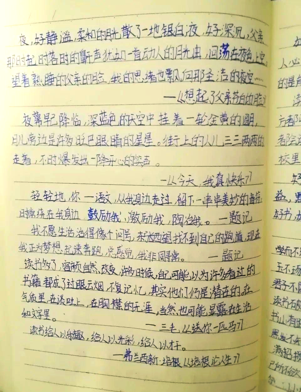 语文积累本展示:小积累成就大智慧