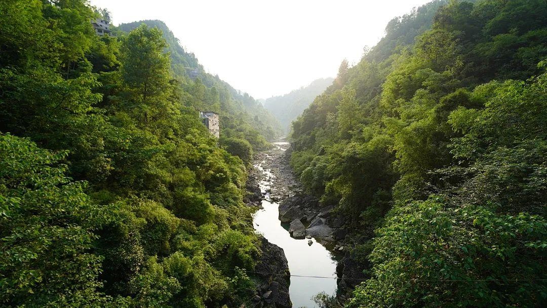 麻阳河国家级自然保护区:生态持续向好 人与黑叶猴和谐相处