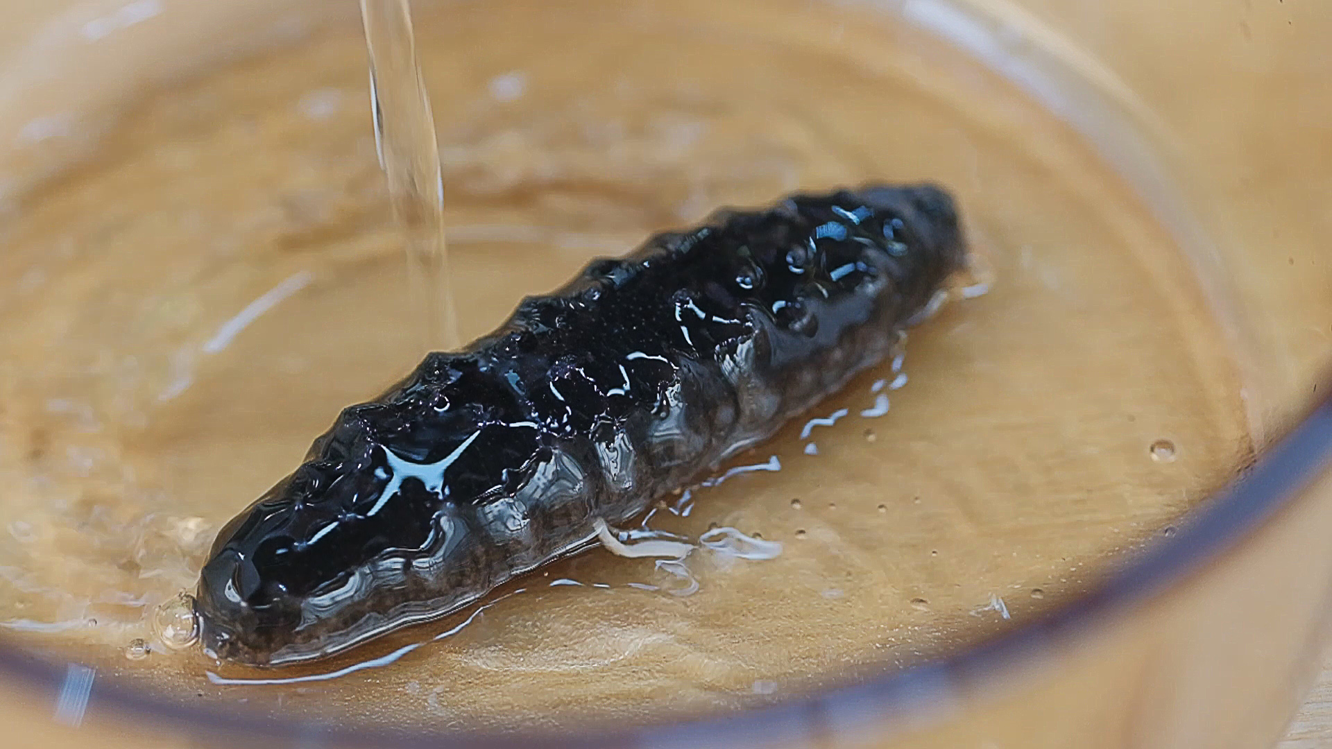 海参泡发的认知误区,你中招了吗?