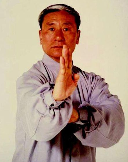 蔡龙云:山东武术家的传奇之路