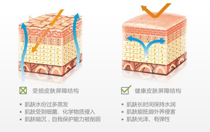 御见名匠修护肌肤屏障的护肤品,问题肌肤的福音