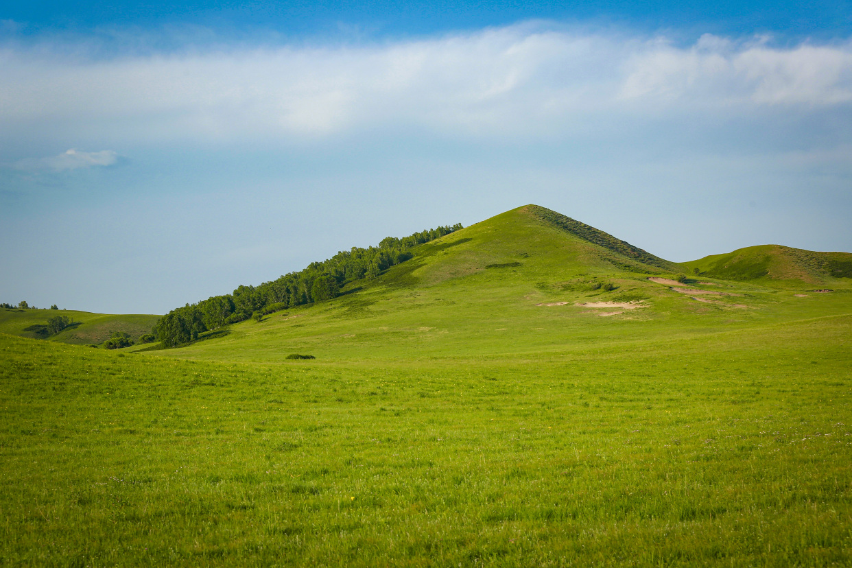 赤峰乌兰布统草原掠影体会