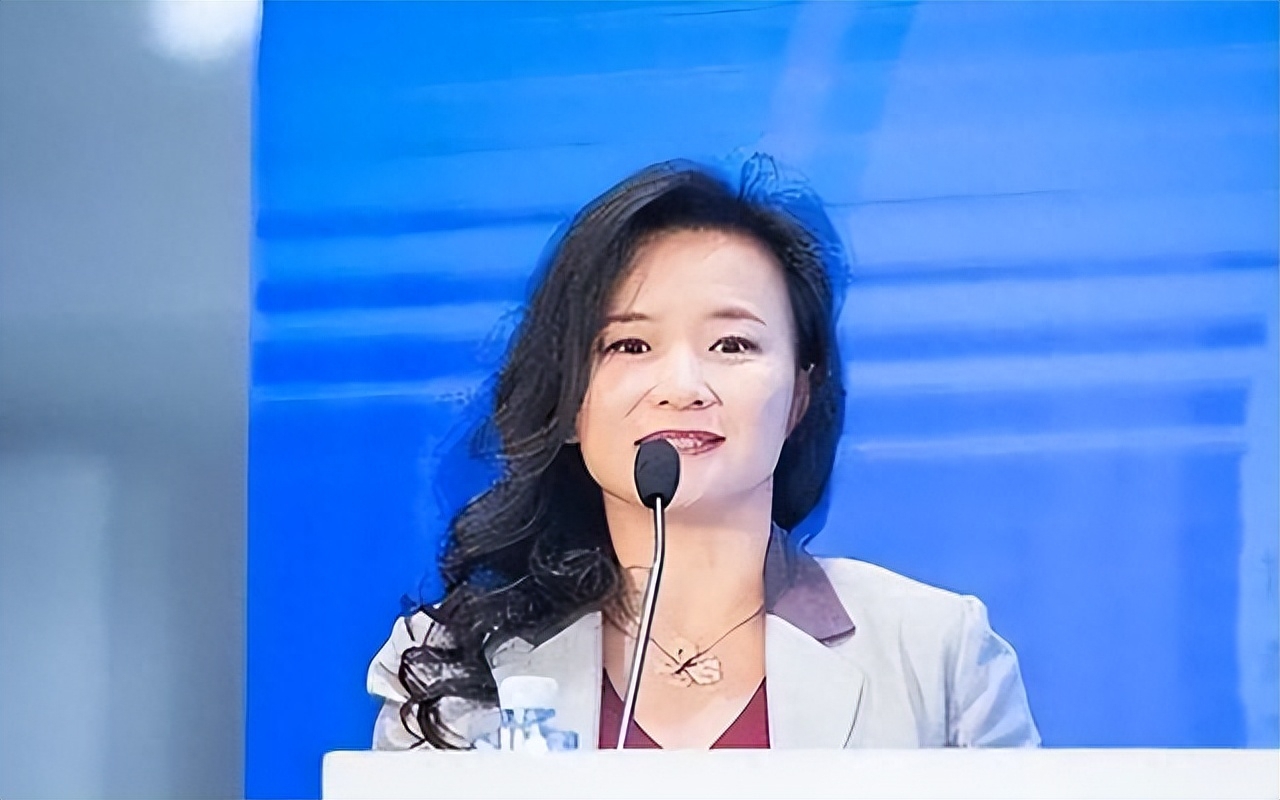 原央视主持人成蕾因为境外非法提供秘密罪入刑,刑满后被驱逐出境