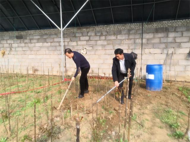 威海臨港區汪疃鎮: