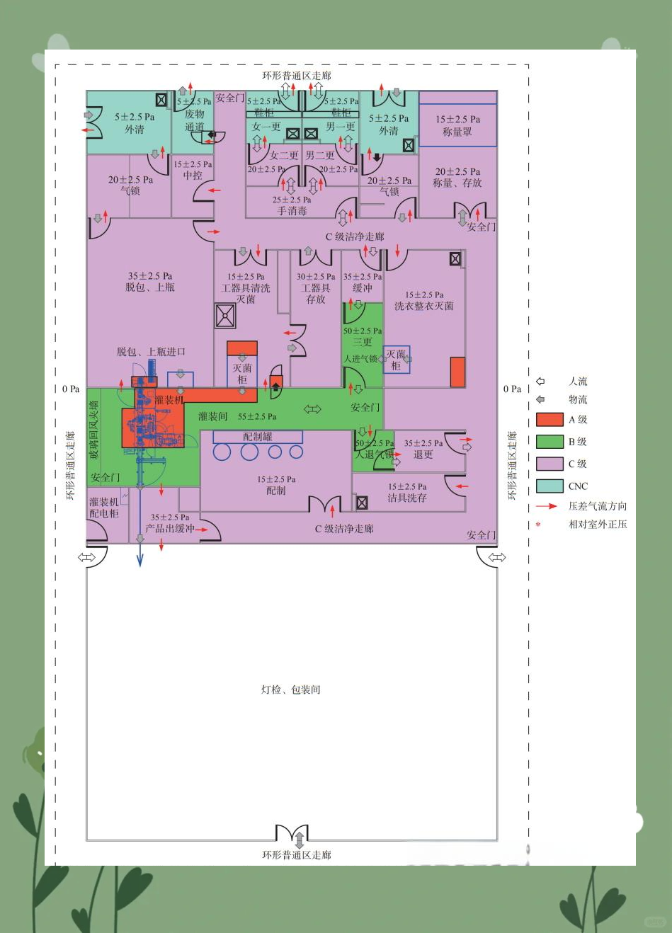 预灌封注射器车间设计:从概念到生产工艺全解析