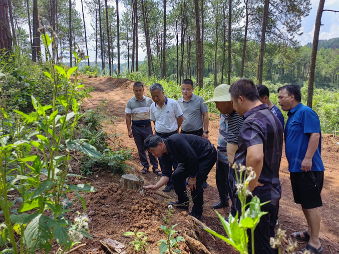 镇远:李峰深入青溪镇和羊坪镇调研指导林下经济产业发展工作