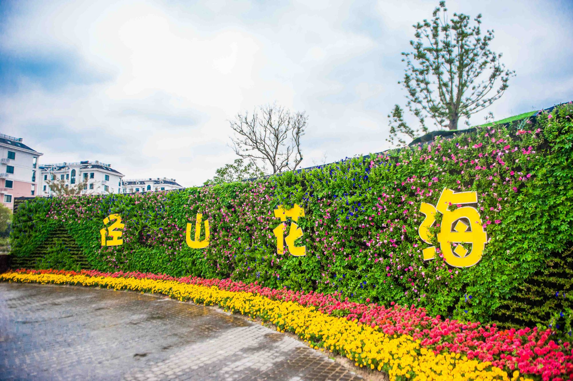 杭州有一处花海!可以看烟花,听演唱会,十一去正赶上活动!