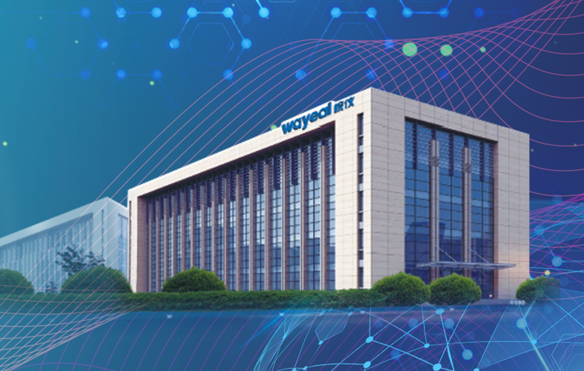 成功过会的皖仪科技经营情况却"千疮百孔"