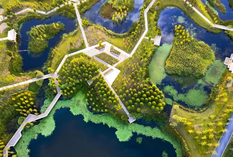 超300万平方米,上海"十四五"将建成开放4片楔形绿地